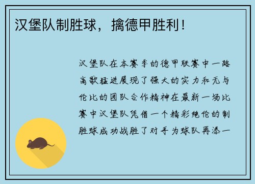 汉堡队制胜球，擒德甲胜利！